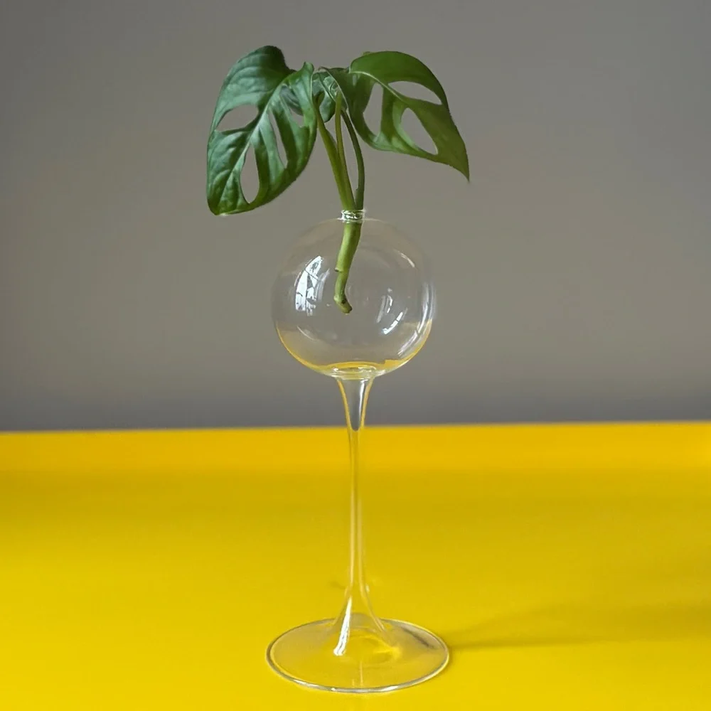 Firelight Glass Hurricane Oil Candle Stick Glass Bud Vase Plant Propagation 8” - Picture 2 of 9